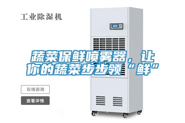 蔬菜保鲜喷雾器，让你的蔬菜步步领“鲜”