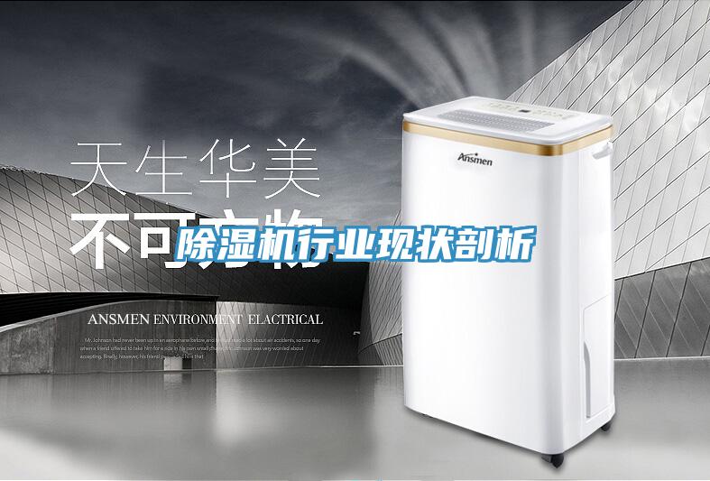 除湿机行业现状剖析