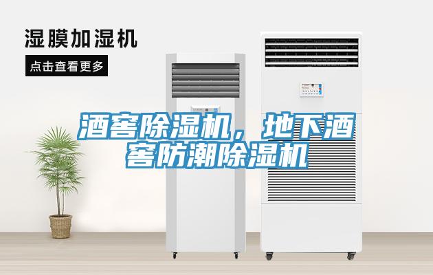 酒窖除湿机，地下酒窖防潮除湿机