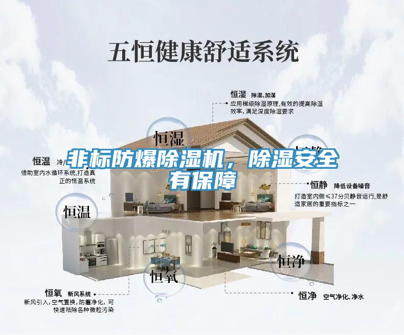 非标防爆除湿机，除湿安全有保障