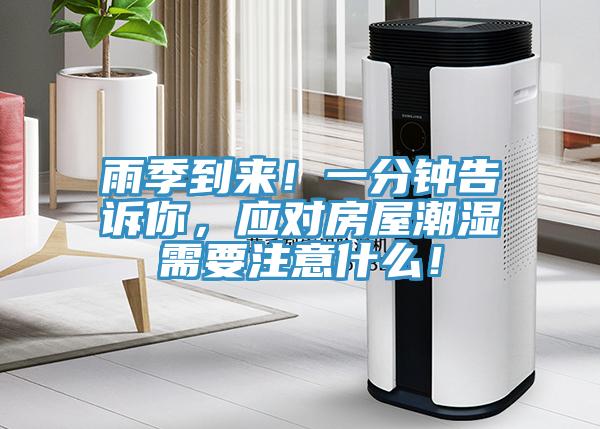 雨季到来！一分钟告诉你，应对房屋潮湿需要注意什么！