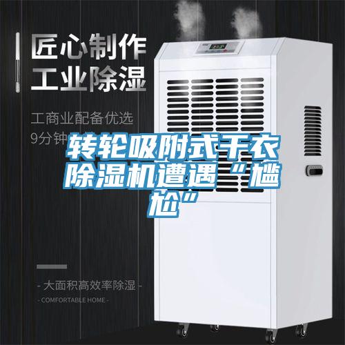 转轮吸附式干衣除湿机遭遇“尴尬”