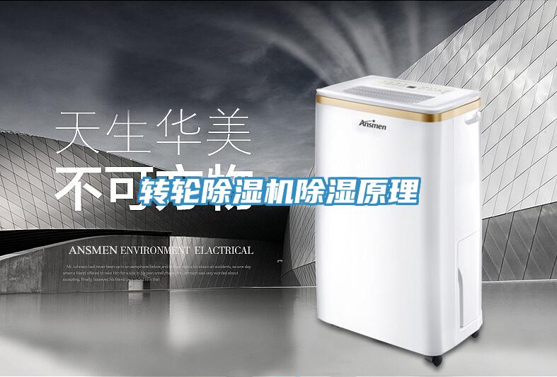 转轮除湿机除湿原理