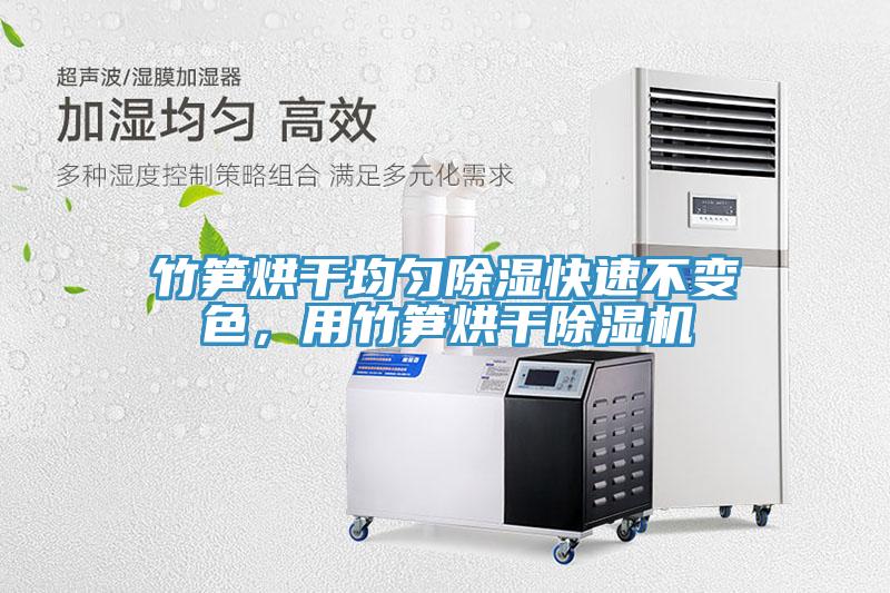 竹笋烘干均匀除湿快速不变色，用竹笋烘干除湿机
