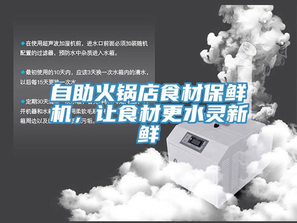 自助火锅店食材保鲜机，让食材更水灵新鲜
