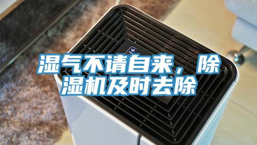 湿气不请自来，除湿机及时去除
