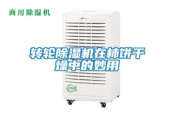 转轮除湿机在柿饼干燥中的妙用