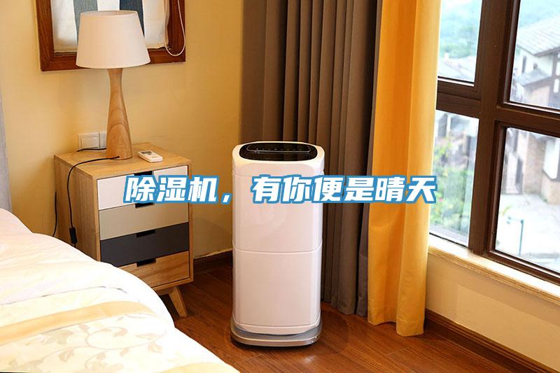 除湿机，有你便是晴天