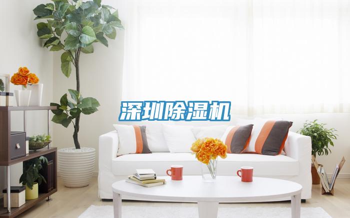 深圳除湿机