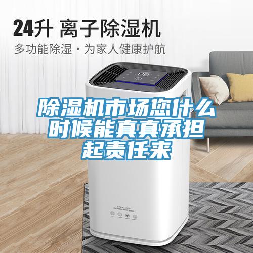 除湿机市场您什么时候能真真承担起责任来