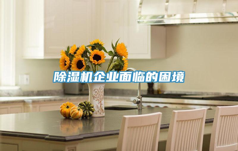 除湿机企业面临的困境