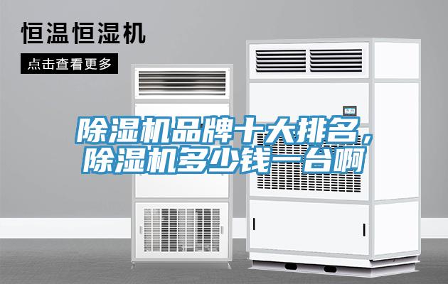 除湿机品牌十大排名，除湿机多少钱一台啊