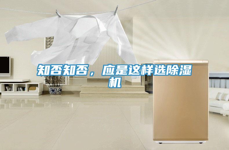 知否知否，应是这样选除湿机