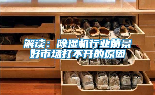 解读：除湿机行业前景好市场打不开的原因
