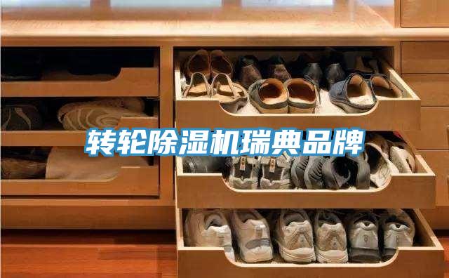 转轮除湿机瑞典品牌