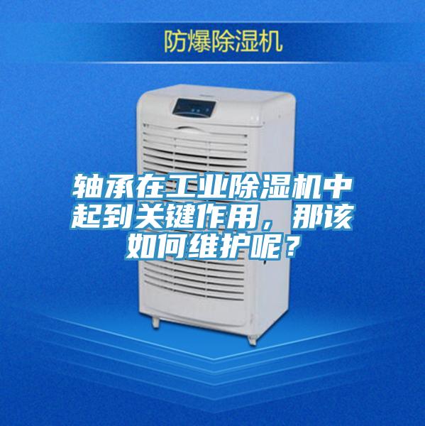 轴承在工业除湿机中起到关键作用，那该如何维护呢？