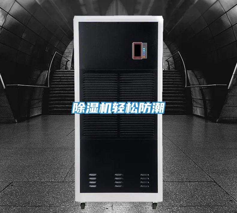 除湿机轻松防潮