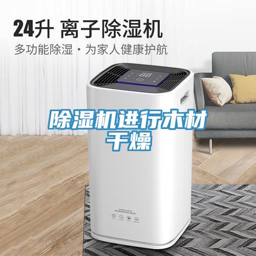 除湿机进行木材干燥