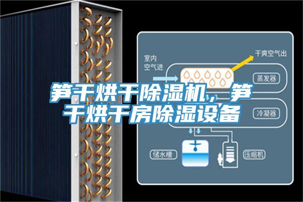 笋干烘干除湿机，笋干烘干房除湿设备
