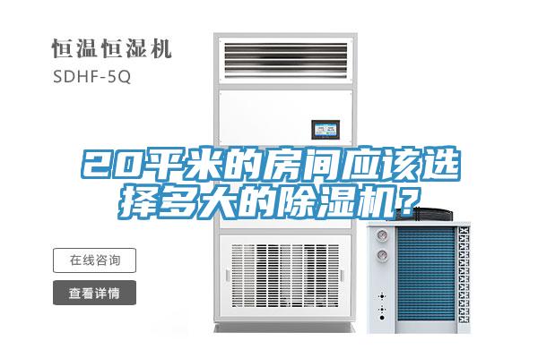 20平米的房间应该选择多大的除湿机？