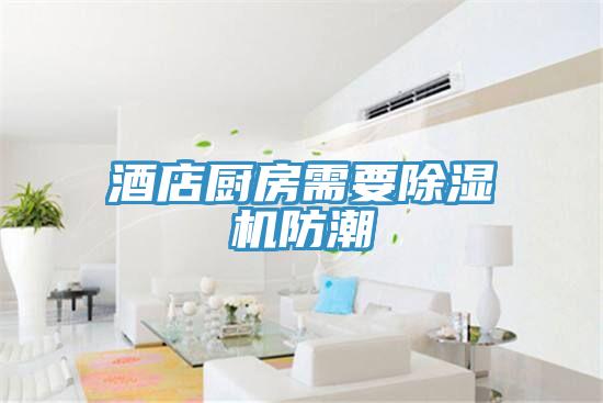 酒店厨房需要除湿机防潮