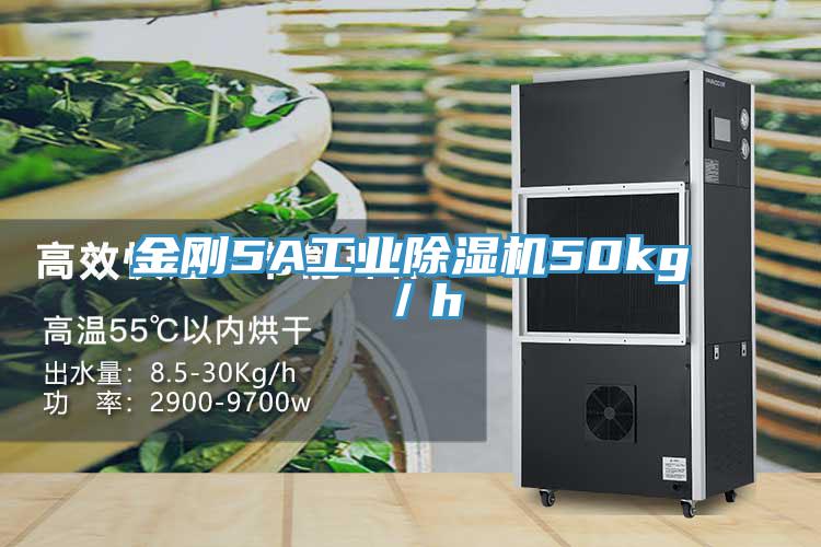 金刚5A工业除湿机50kg／h