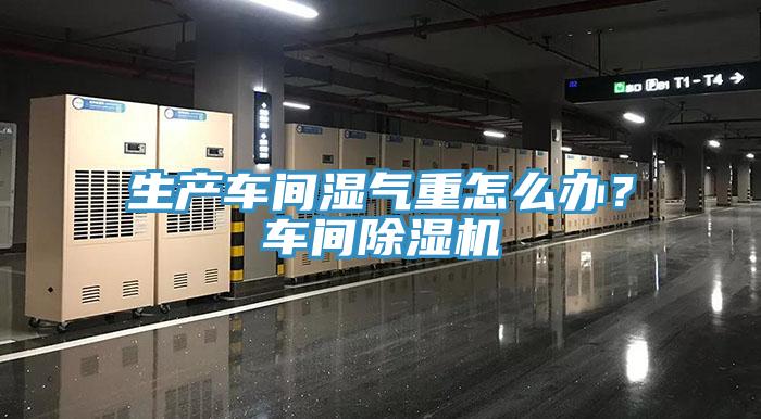 生产车间湿气重怎么办？车间除湿机