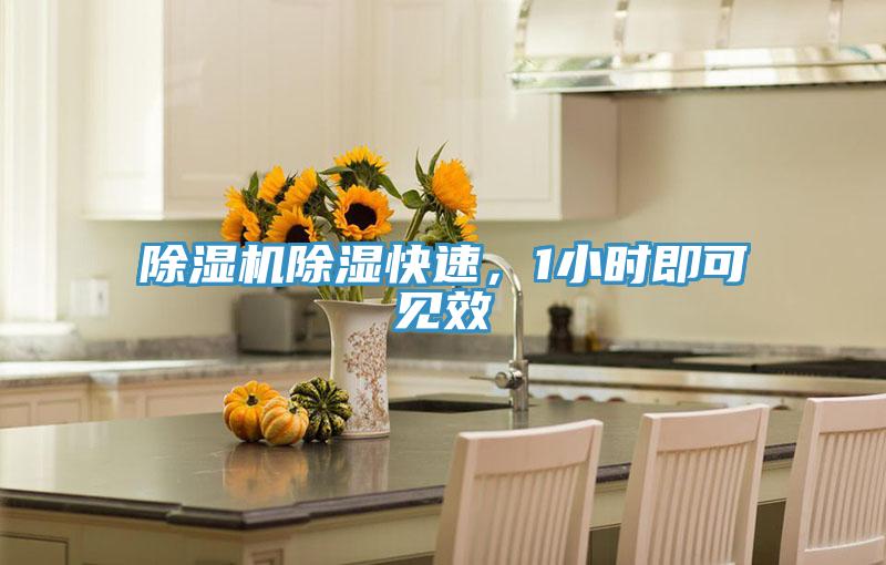 除湿机除湿快速，1小时即可见效