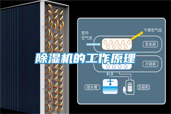 除湿机的工作原理