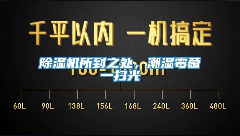 除湿机所到之处，潮湿霉菌一扫光