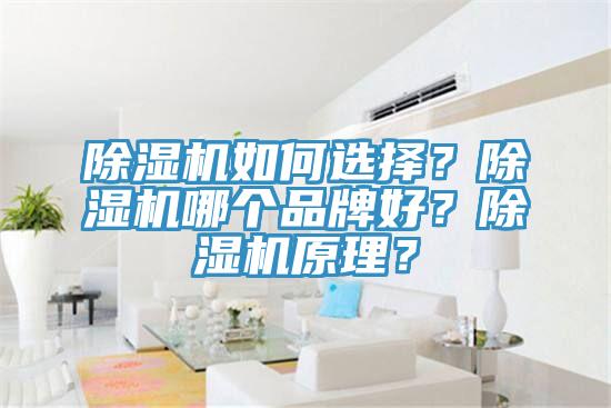 除湿机如何选择？除湿机哪个品牌好？除湿机原理？