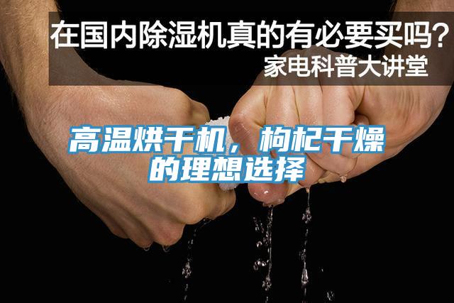 高温烘干机，枸杞干燥的理想选择