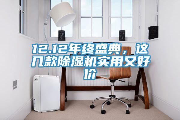12.12年终盛典，这几款除湿机实用又好价