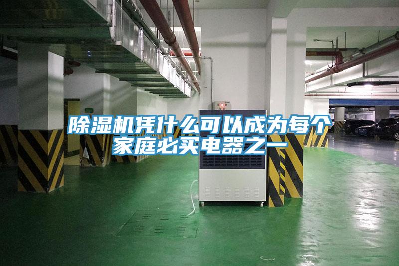 除湿机凭什么可以成为每个家庭必买电器之一