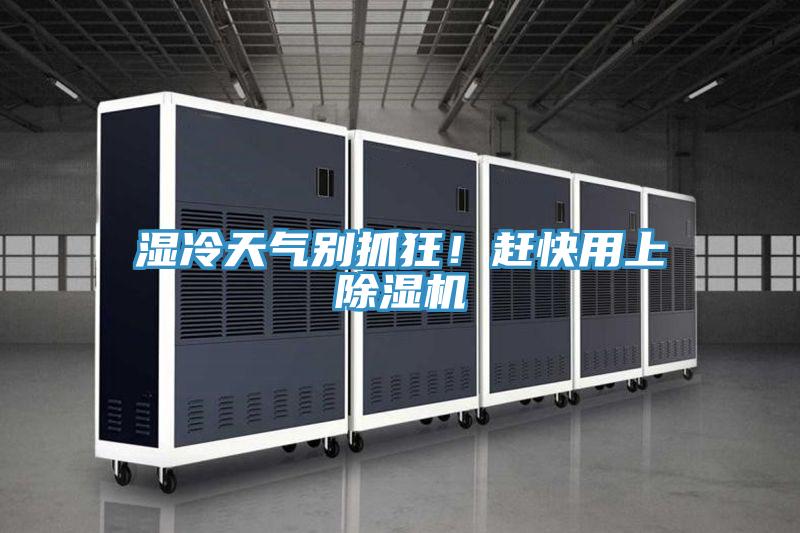 湿冷天气别抓狂！赶快用上除湿机