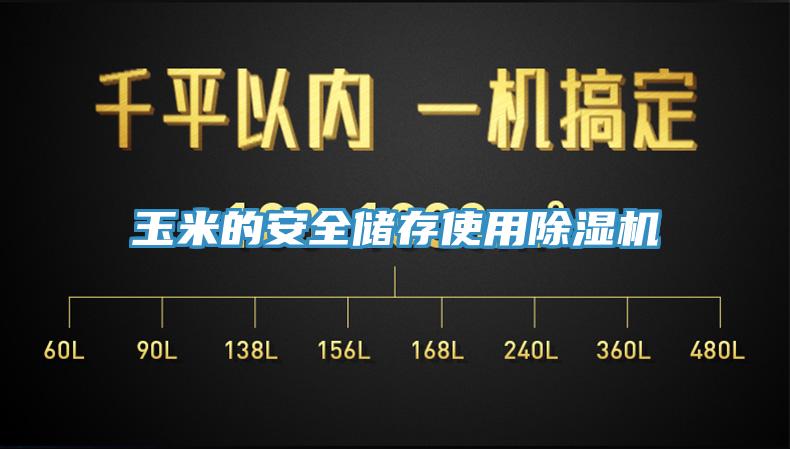 玉米的安全储存使用除湿机