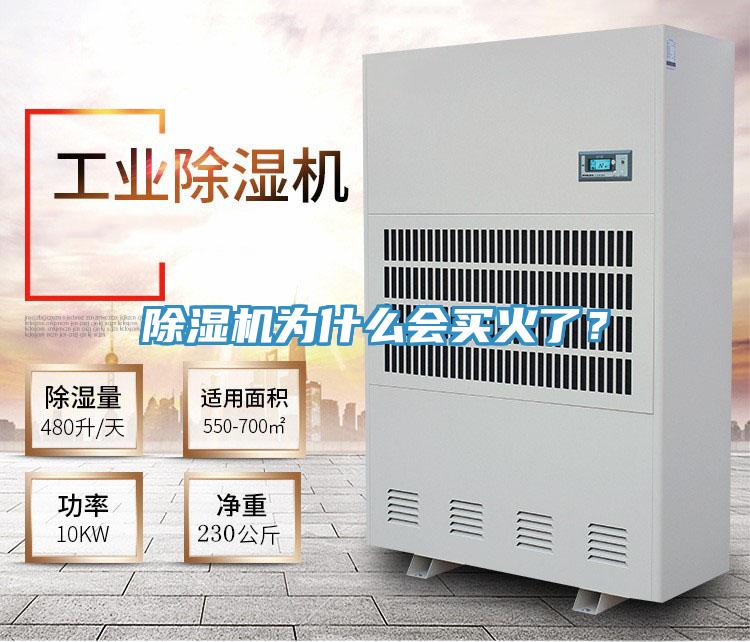 除湿机为什么会买火了？