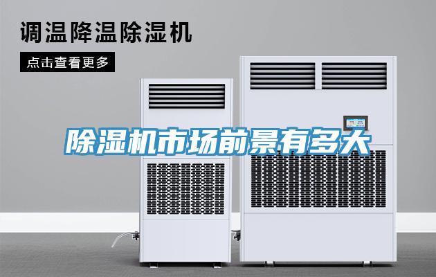除湿机市场前景有多大