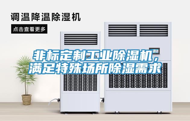 非标定制工业除湿机，满足特殊场所除湿需求