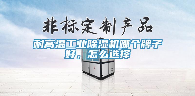 耐高温工业除湿机哪个牌子好，怎么选择