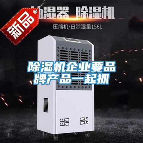 除湿机企业要品牌产品一起抓