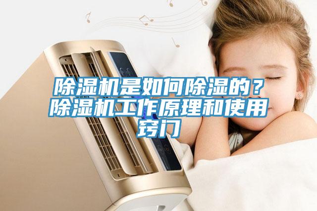 除湿机是如何除湿的？除湿机工作原理和使用窍门