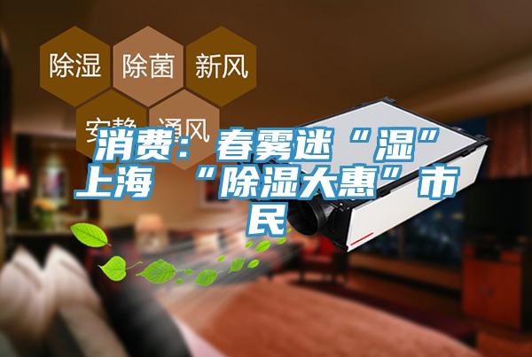 消费：春雾迷“湿”上海 “除湿大惠”市民