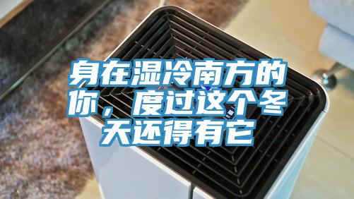 身在湿冷南方的你，度过这个冬天还得有它
