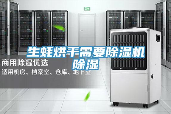 生蚝烘干需要除湿机除湿