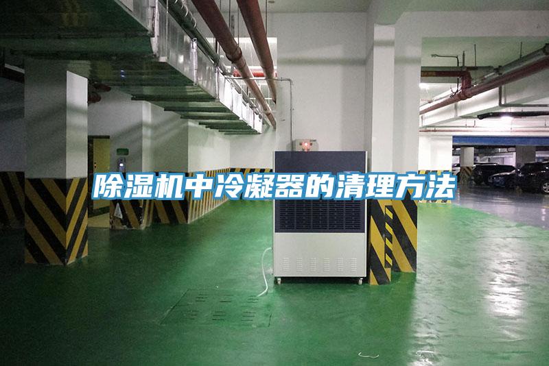 除湿机中冷凝器的清理方法