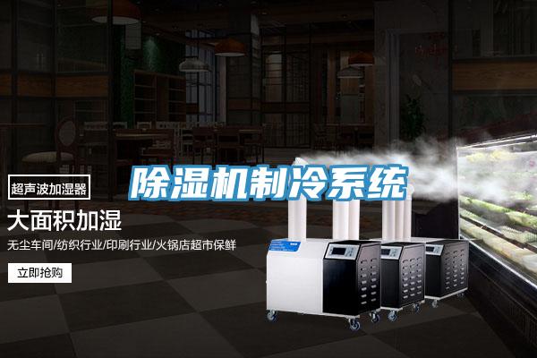 除湿机制冷系统