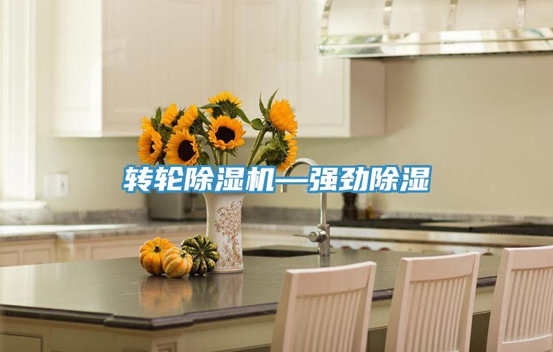 转轮除湿机—强劲除湿