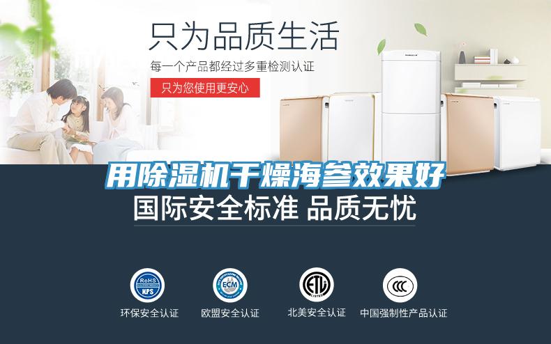 用除湿机干燥海参效果好