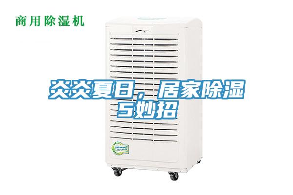 炎炎夏日，居家除湿5妙招
